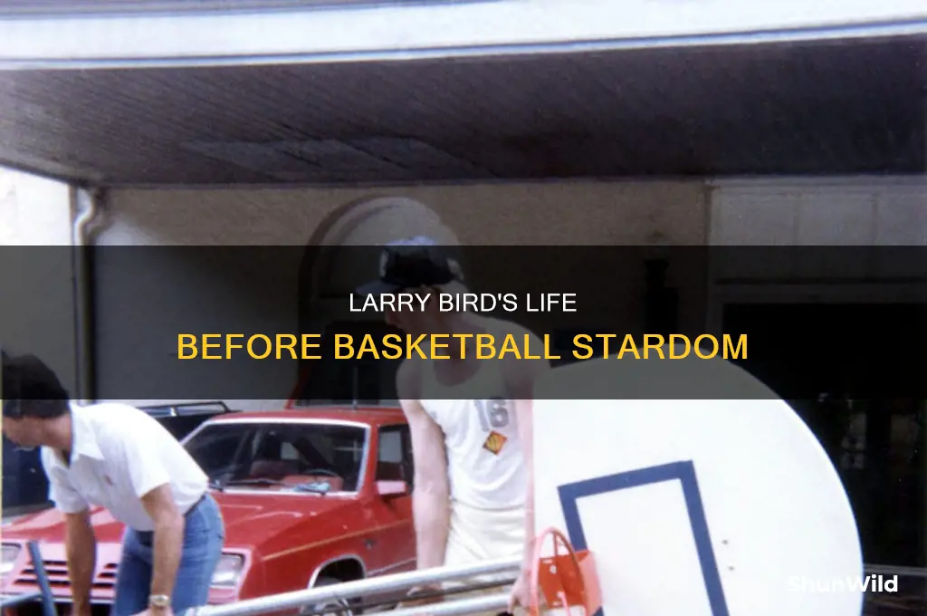 what did larry bird do before basketball