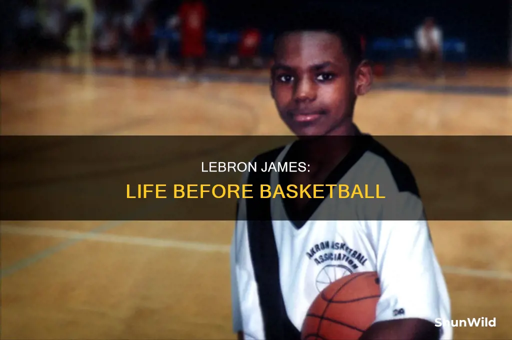 what did lebron james do before basketball