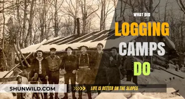 Logging Camps: Their Role, Operations, and Impact on Forests and Communities