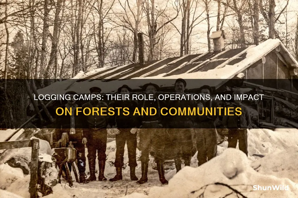 what did logging camps do