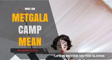 Decoding Met Gala's Camp Theme: Extravagance, Exaggeration, and Expression Explained
