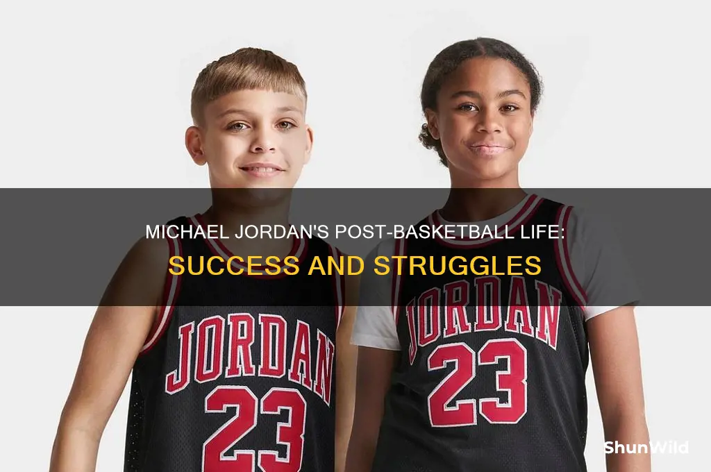 what did michael jordan do after basketball