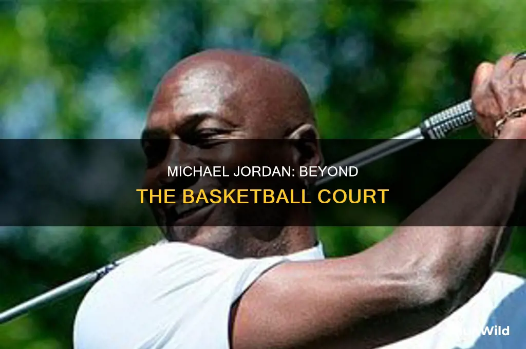what did michael jordan do outside basketball