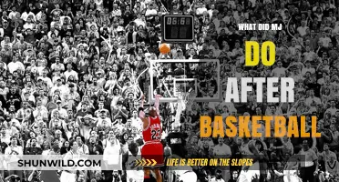 MJ's Post-Basketball Life: Success and Struggles