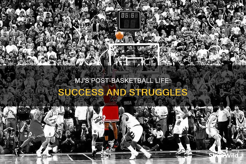what did mj do after basketball