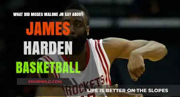 Malone Jr.'s Take on Harden's Basketball Prowess