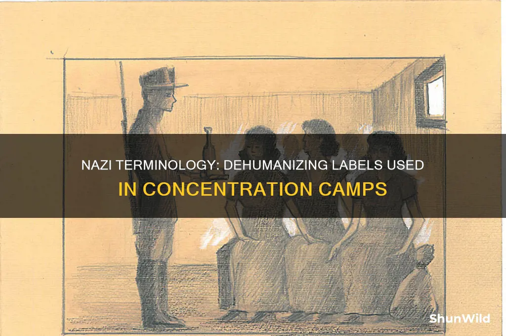 what did nazis call people in concentration camps
