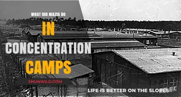 Niazis' Role and Experiences in Concentration Camps: A Historical Overview