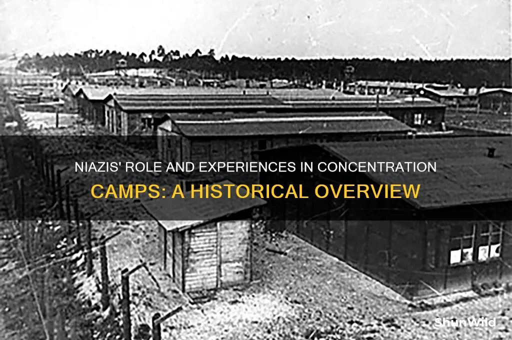 what did niazis do in concentration camps