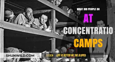 Life and Labor: Daily Realities Inside Concentration Camps