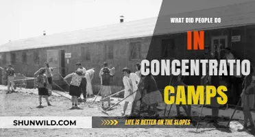 Life and Survival: Daily Realities Inside Concentration Camps