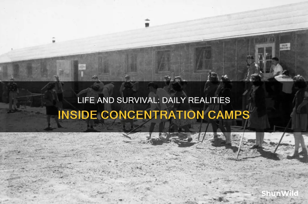what did people do in concentration camps