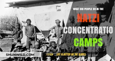 Life and Survival in Nazi Concentration Camps: A Historical Overview
