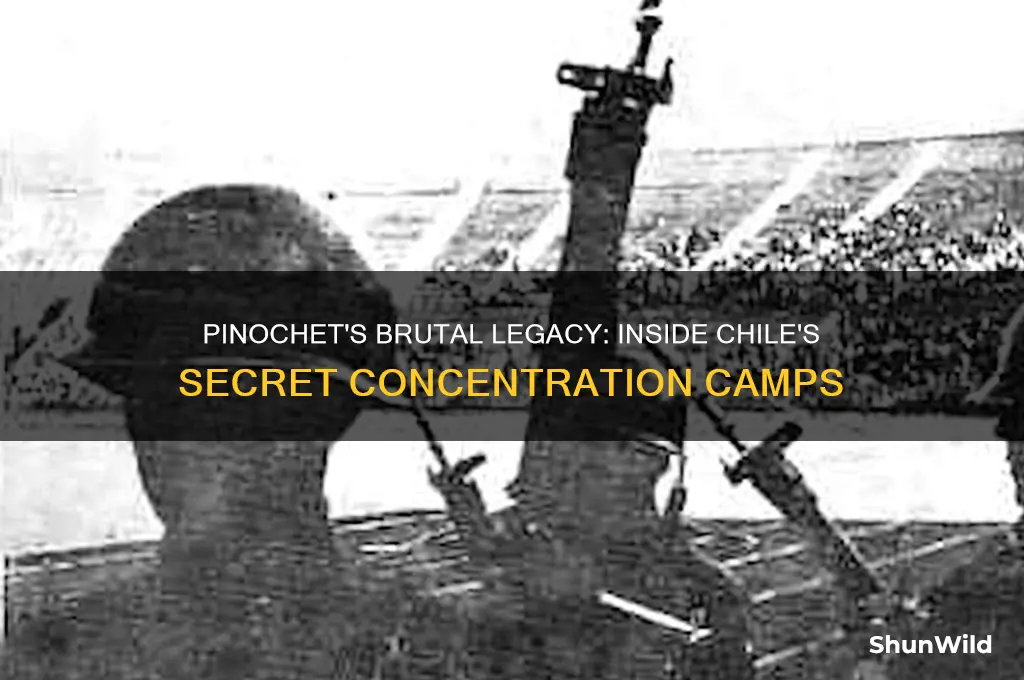 what did pinochet do in the concentration camps