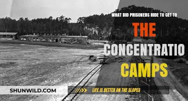 Prisoners' Harrowing Journeys: Transportation to Concentration Camps Explained