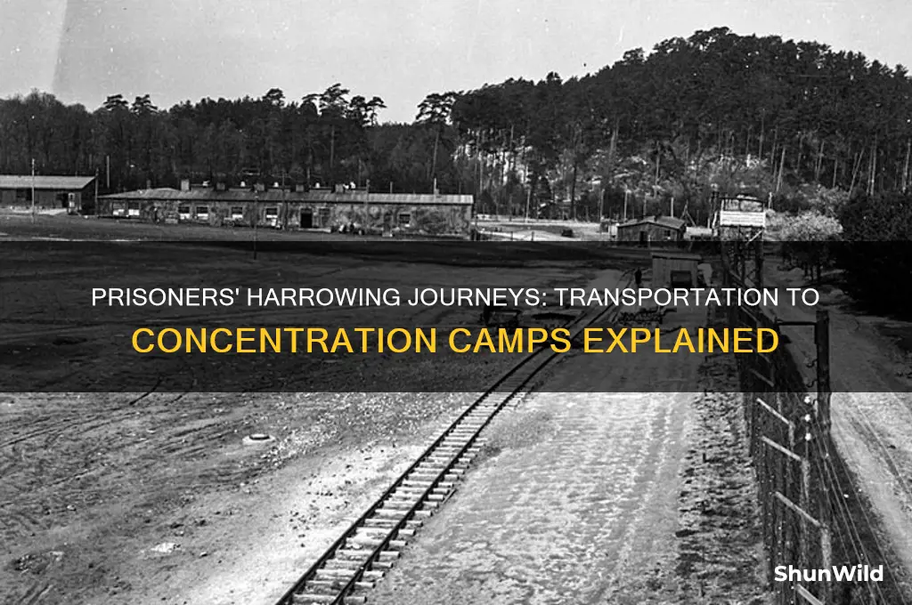 what did prisoners ride to get to the concentration camps