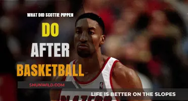 Scottie Pippen's Post-NBA Life: Success and Struggles