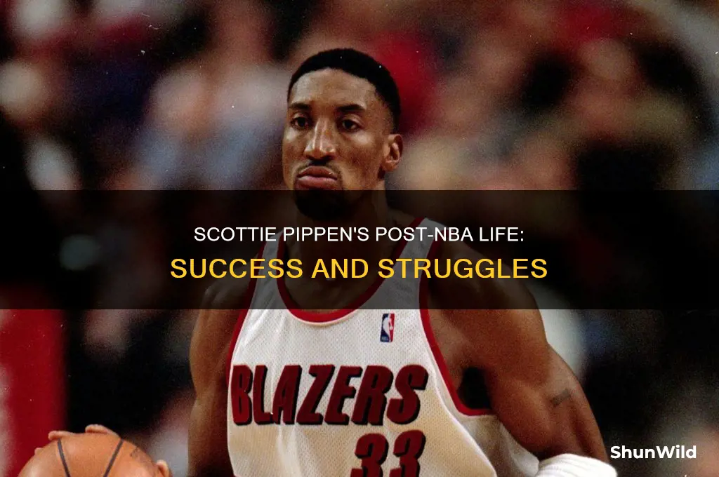 what did scottie pippen do after basketball