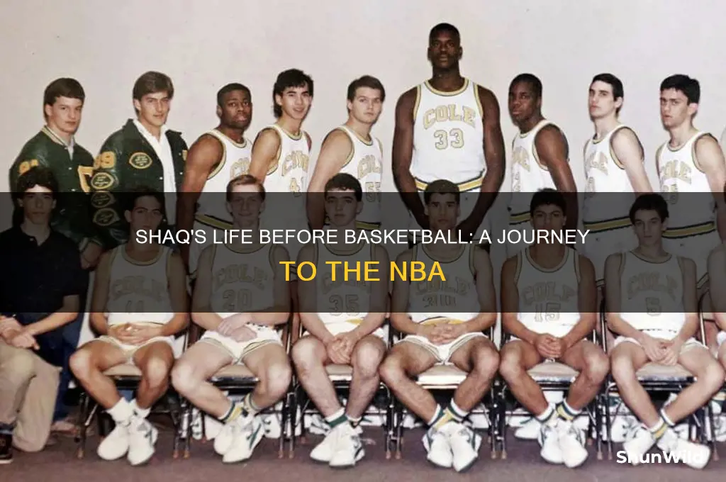 what did shaq do before basketball