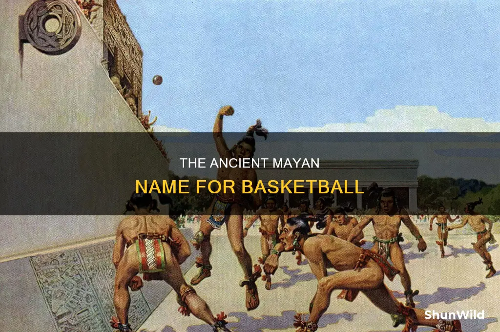 what did th mayans call basketball