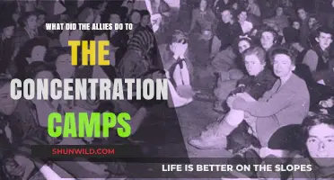Liberation of Concentration Camps: Allies' Actions and Aftermath Revealed