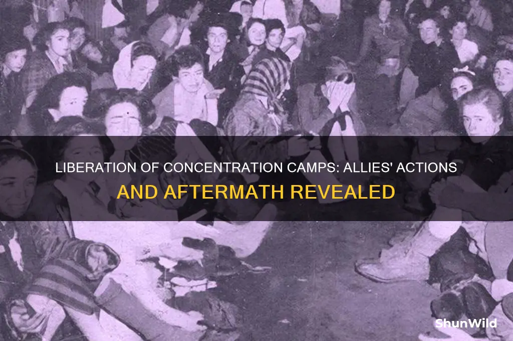 what did the allies do to the concentration camps