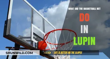 Basketball Net: Lupin's Unlikely Hero