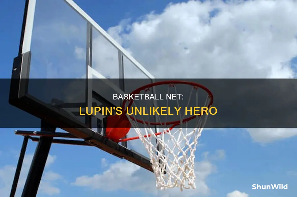 what did the basketball net do in lupin