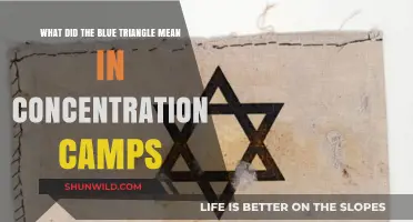 The Blue Triangle: Decoding Its Meaning in Concentration Camps
