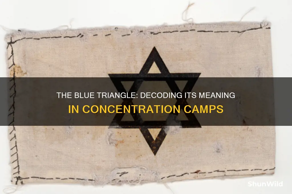 what did the blue triangle mean in concentration camps