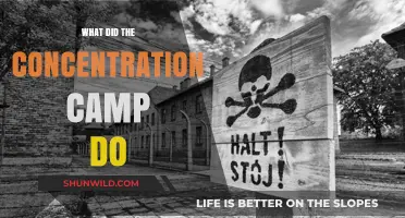 Unveiling the Horrors: Concentration Camps' Devastating Impact and Legacy