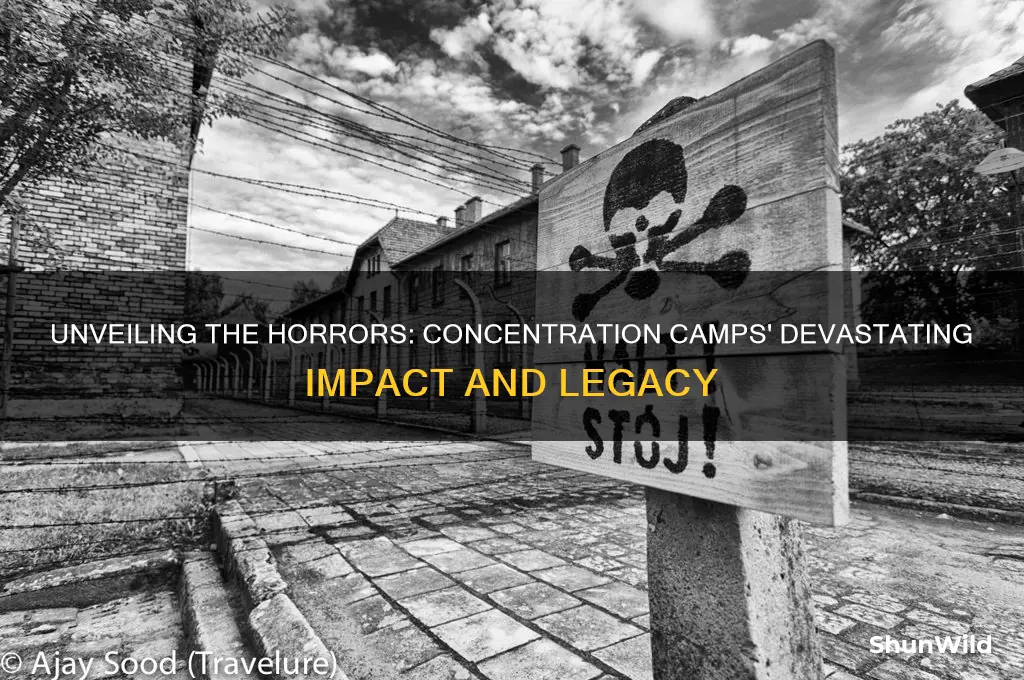 what did the concentration camp do