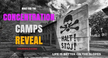 Concentration Camps: Unveiling Humanity's Darkest Secrets and Enduring Lessons