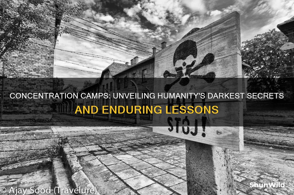 what did the concentration camps reveal