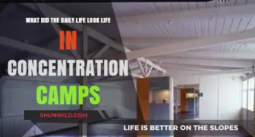 Daily Life in Concentration Camps: Survival, Struggles, and Resilience