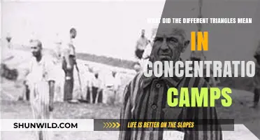 Decoding Nazi Concentration Camp Triangles: Symbols of Identity and Persecution