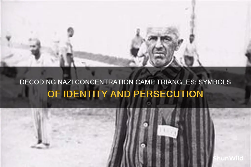 what did the different triangles mean in concentration camps