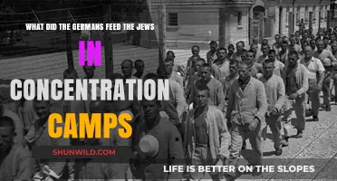 Starvation and Suffering: The Brutal Rations in Nazi Concentration Camps