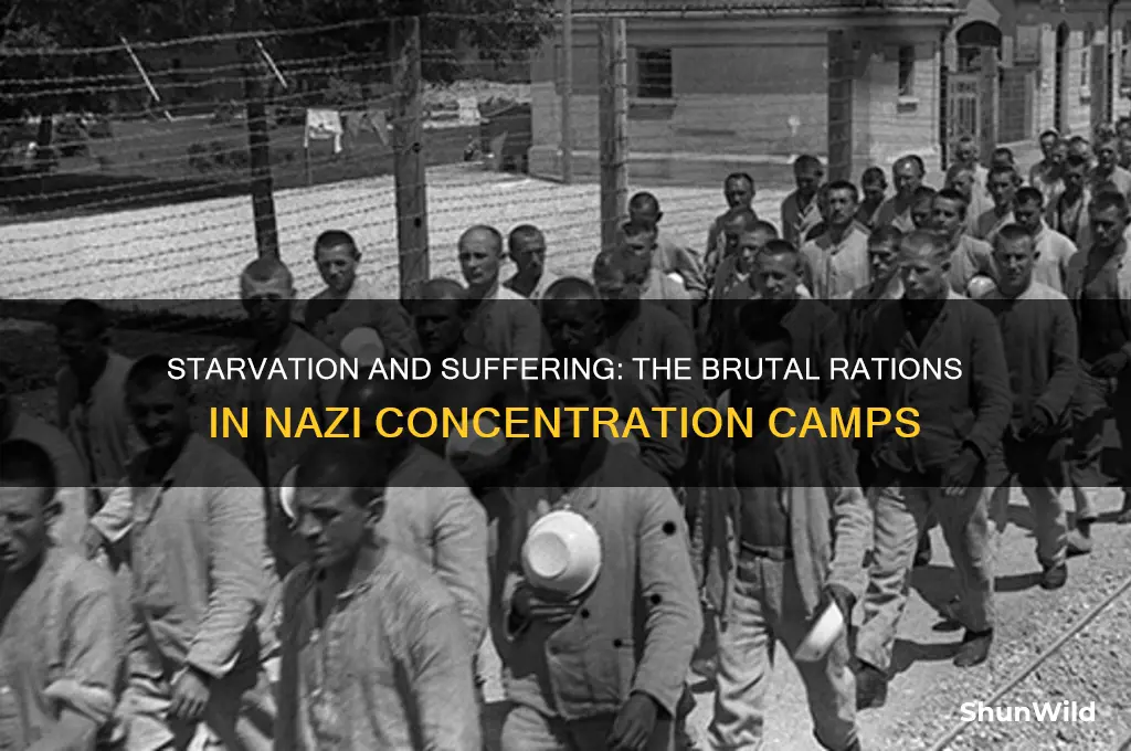 what did the germans feed the jews in concentration camps