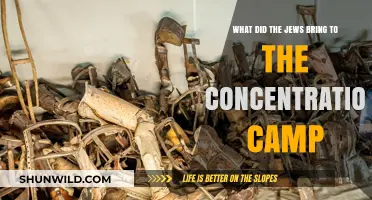 What Jews Carried into Concentration Camps: Stories of Hope and Resistance