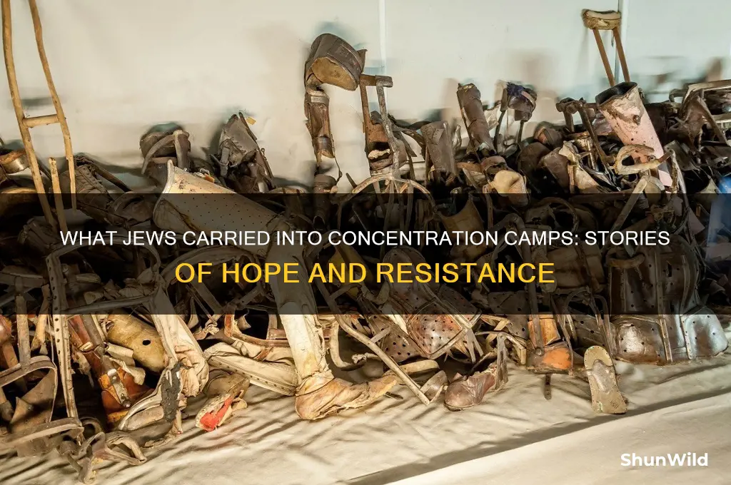 what did the jews bring to the concentration camp