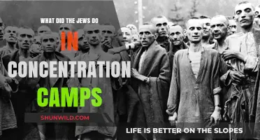Life in Concentration Camps: Jewish Resilience and Daily Struggles