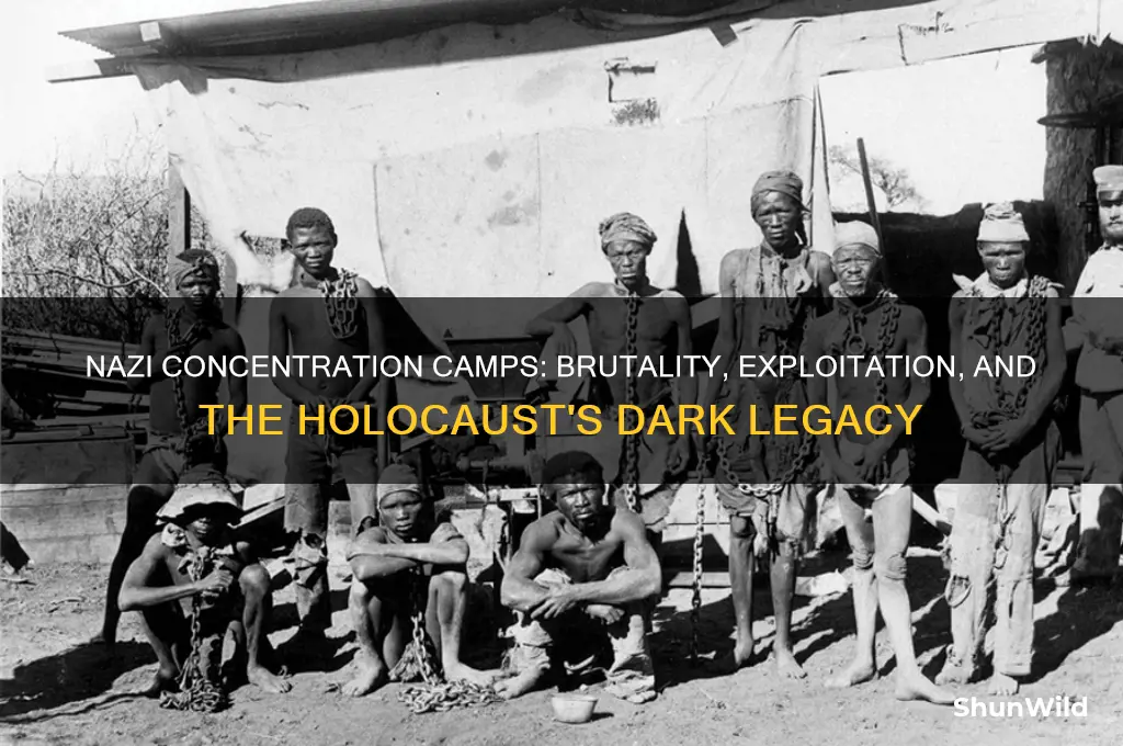 what did the nazi do with the concentration camp
