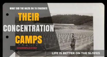 Nazi Camp Evacuations: Forced Marches, Destruction, and Desperate Escapes