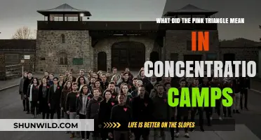 The Pink Triangle: Symbol of Persecution in Nazi Concentration Camps