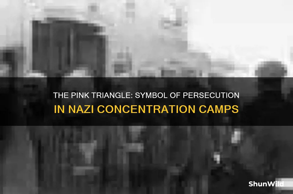 what did the pink triangle mean in concentration camps