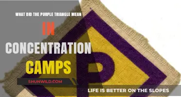 Unveiling the Purple Triangle: A Symbol of Persecution in Nazi Camps