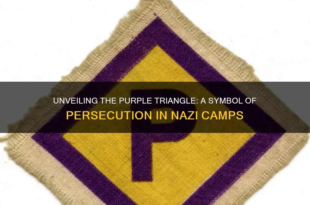 what did the purple triangle mean in concentration camps