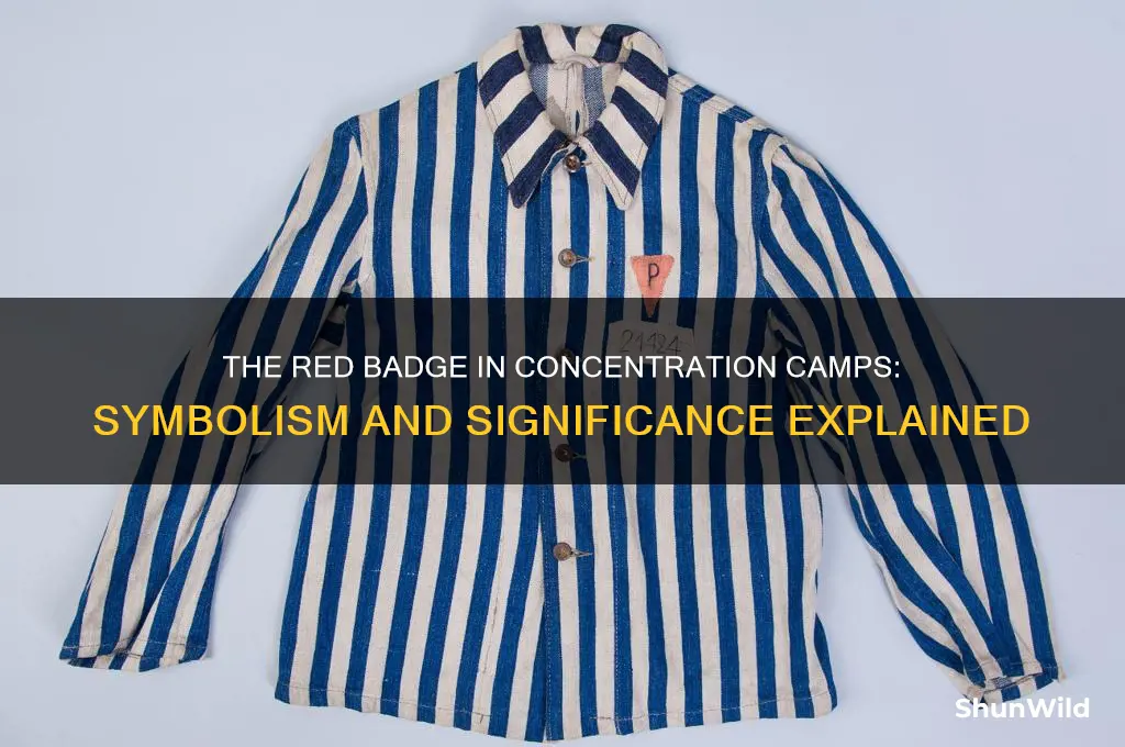 what did the red badge in concentration camps mean
