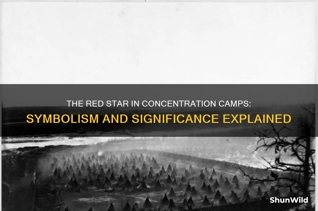 what did the red star mean in concentration camps